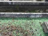 image of grave number 846336